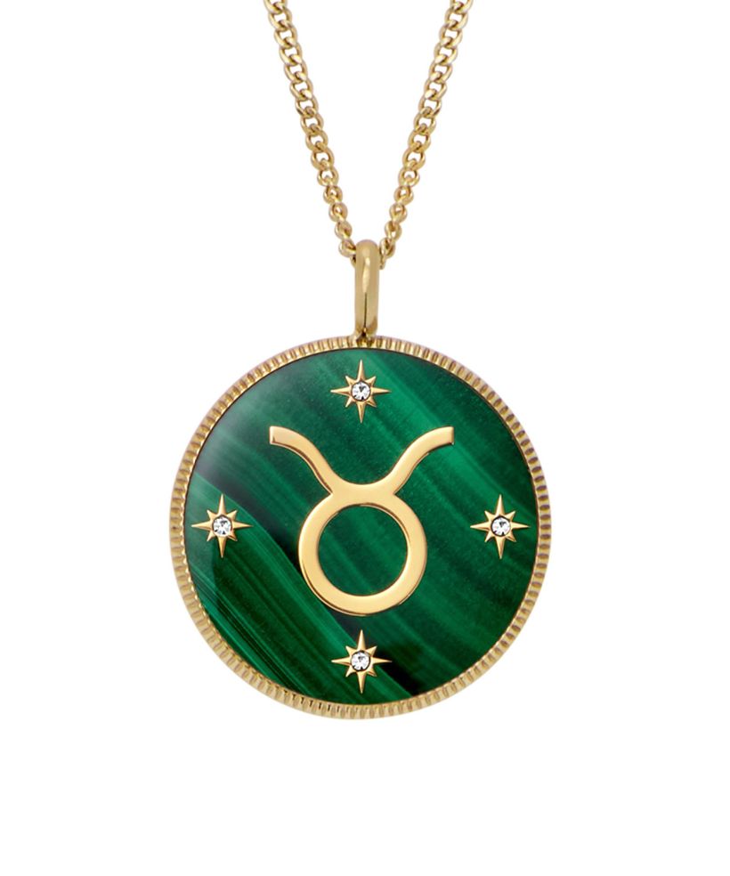 Fossil Harlow necklace