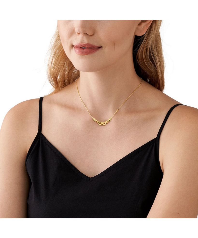 Michael Kors Premium Astor Link necklace