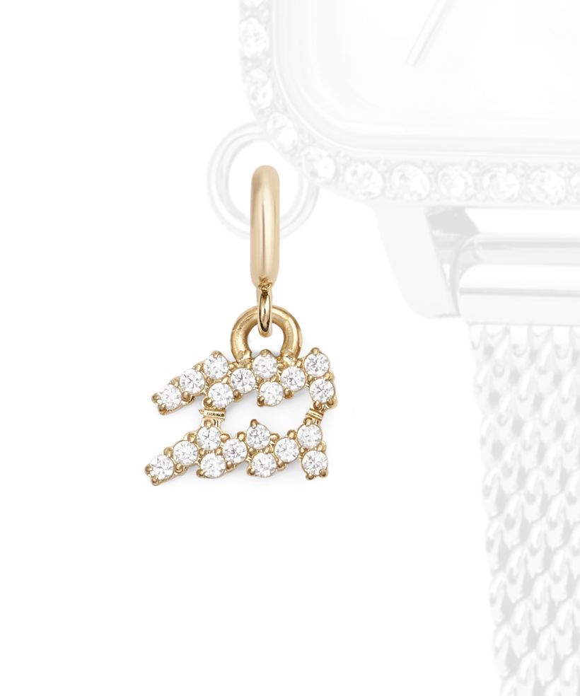 Daniel Wellington Charm Gold Aquarius pendant