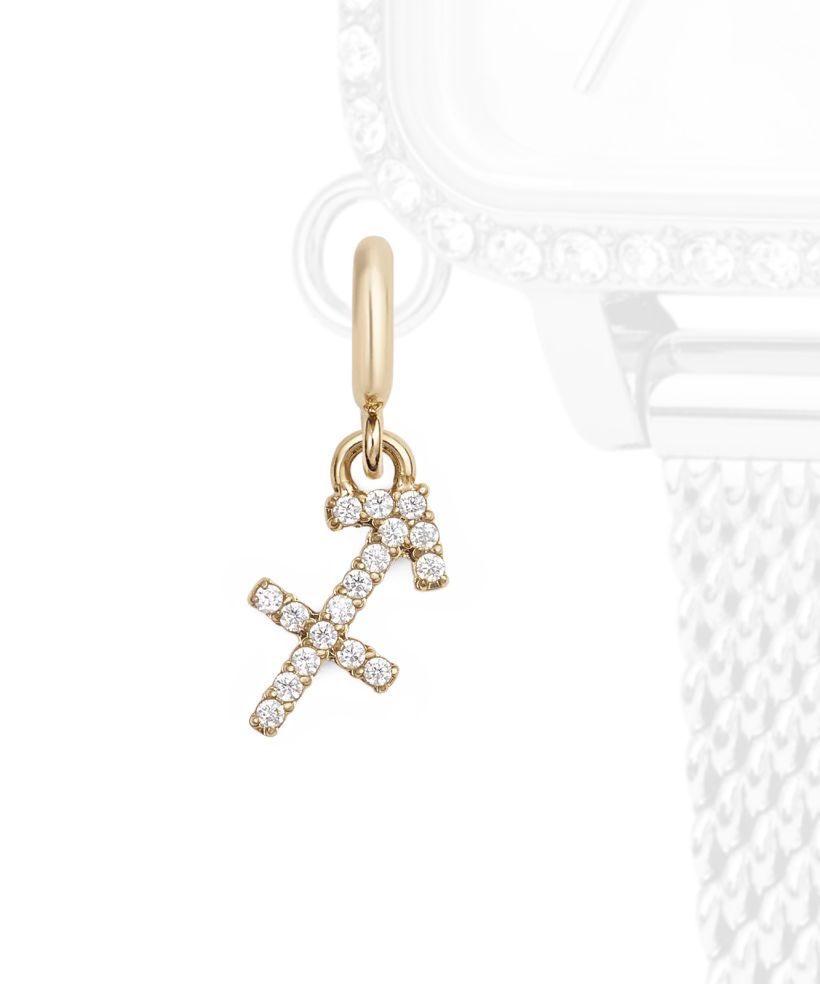 Daniel Wellington Charm Gold Sagittarius pendant