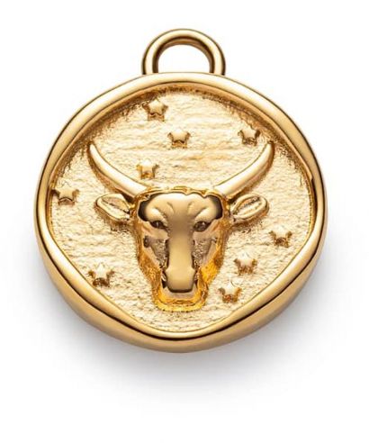 Paul Hewitt Taurus Charm Gold pendant