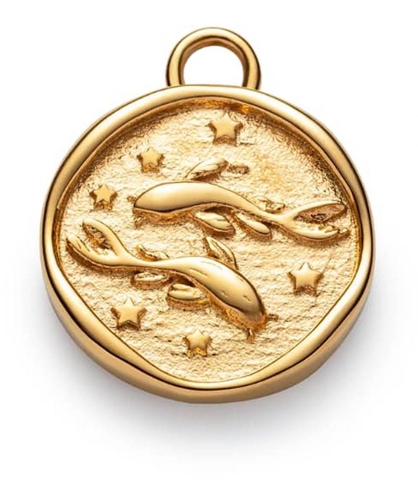 Paul Hewitt Pisces pendant