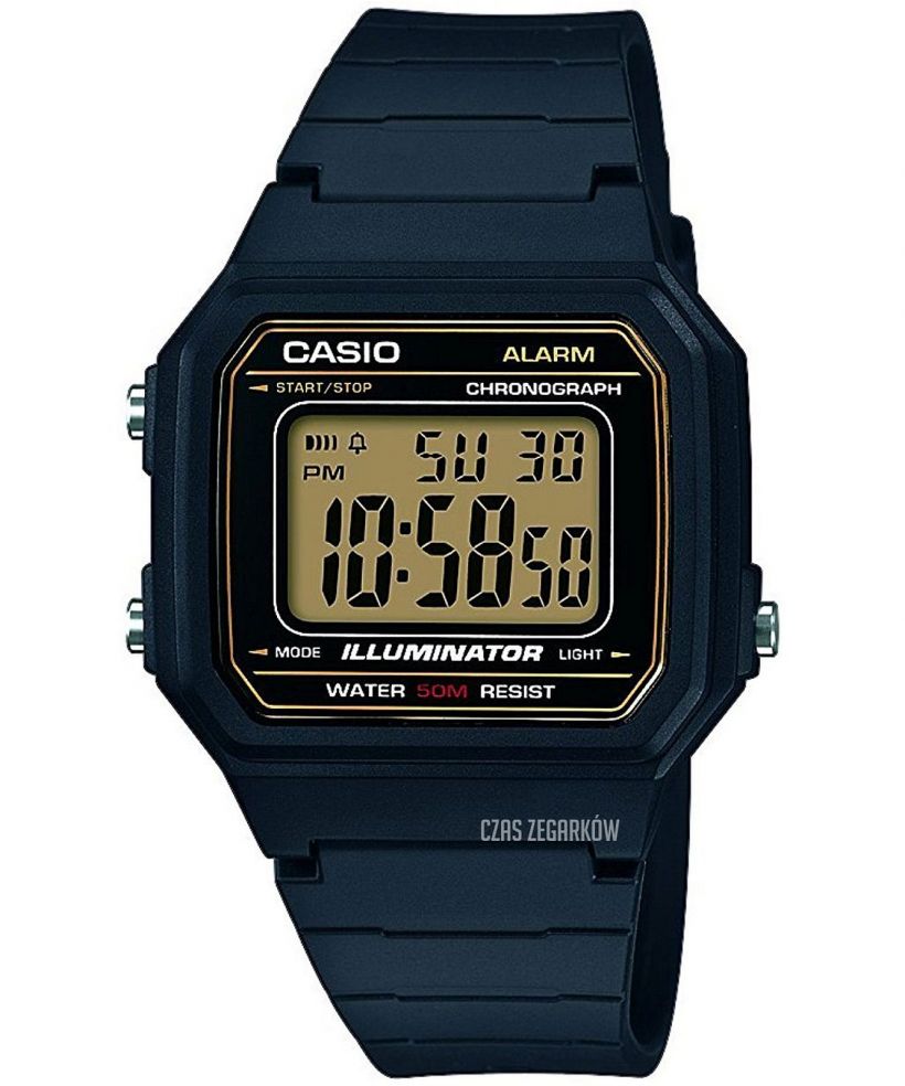 Casio VINTAGE Classic Watch