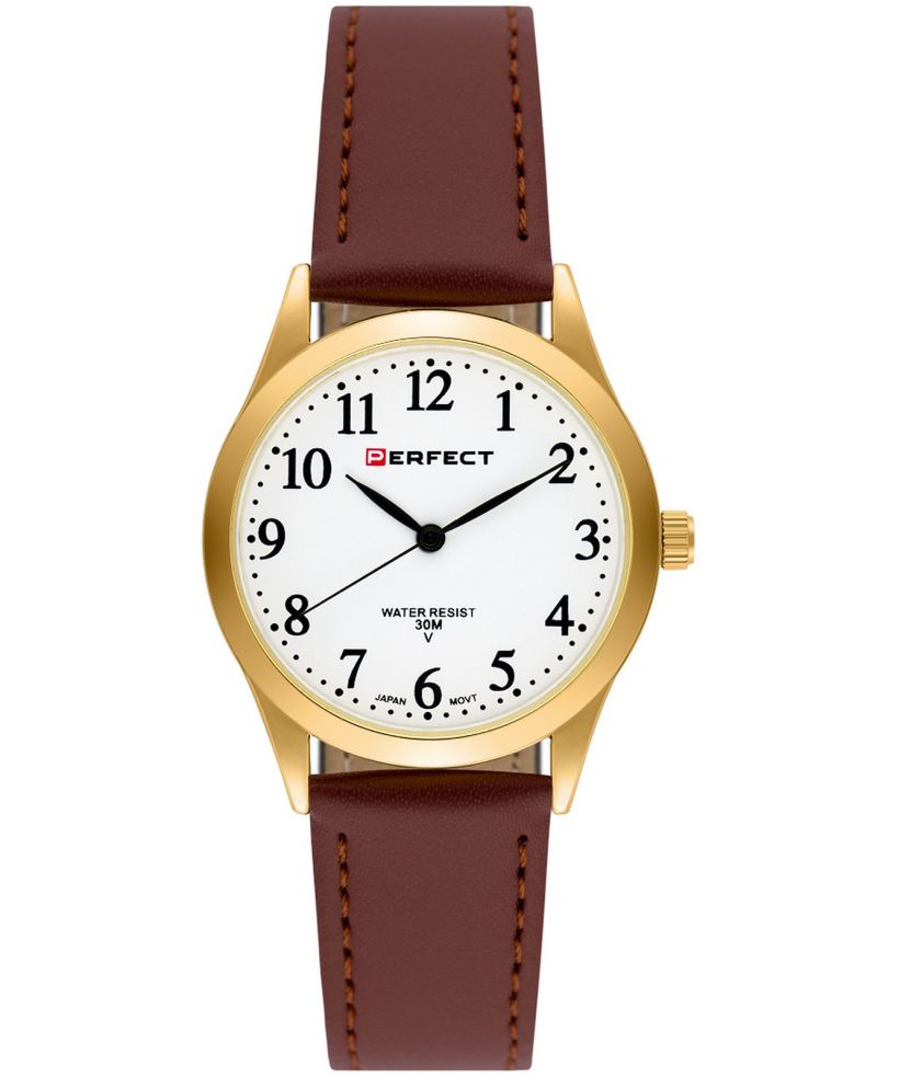 Perfect Blister IP watch