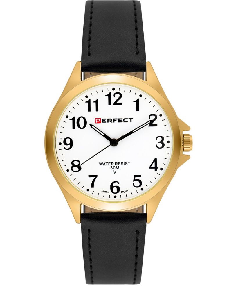 Perfect Blister IP watch