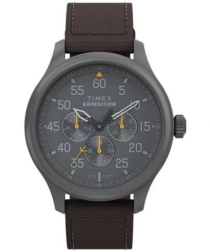 Timex Expedition Field watch