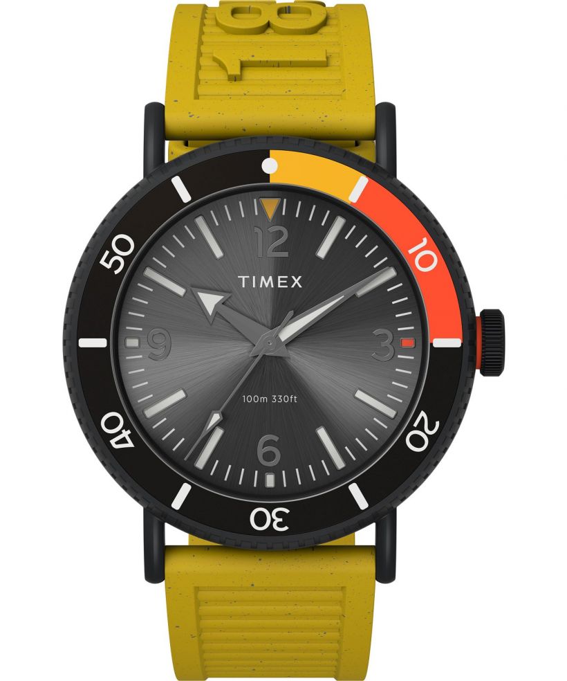 Timex Standard Diver watch
