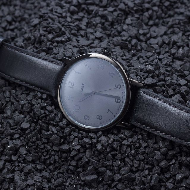 Timex Men's Watch Men's Watch
