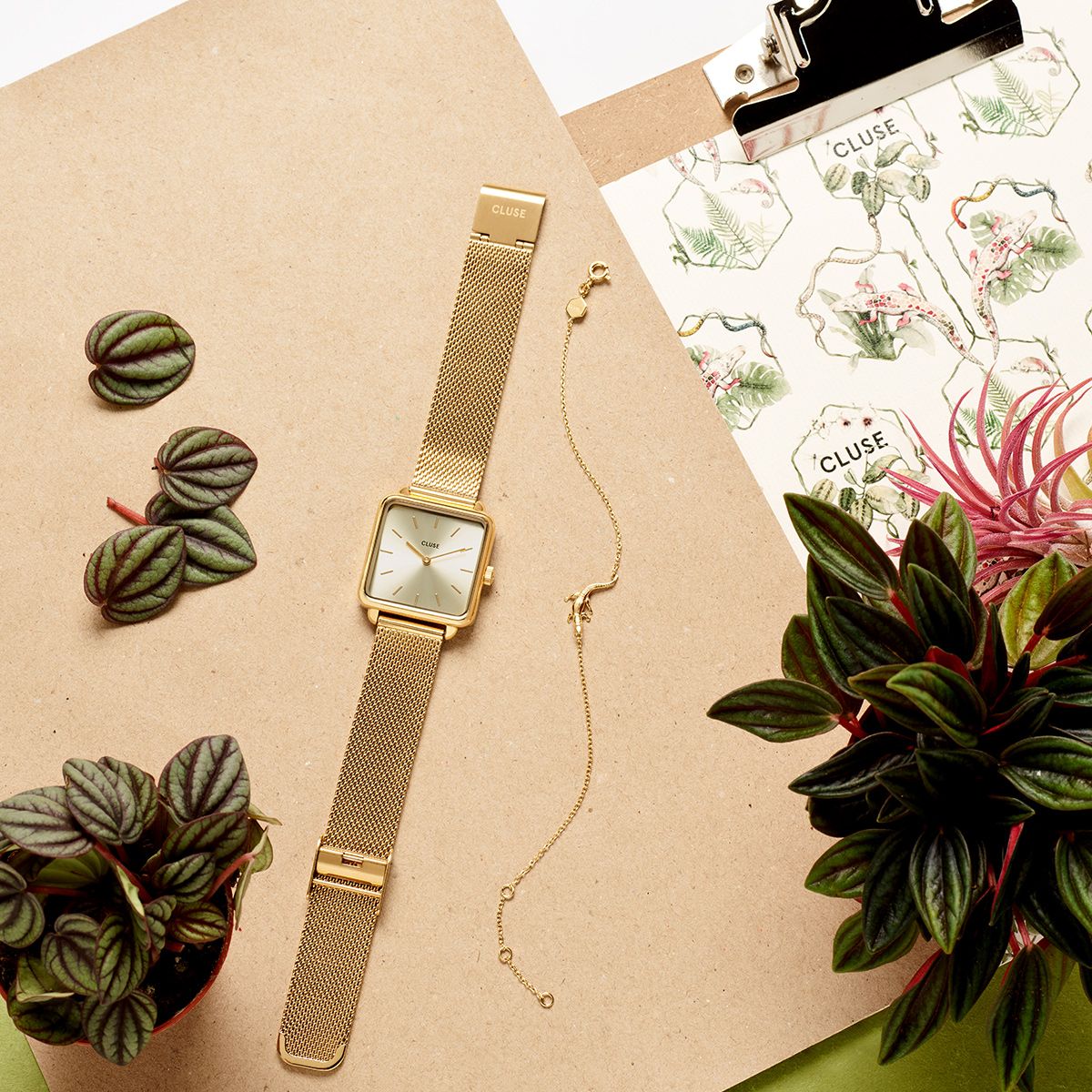 Cluse La Tétragone Women's Watch
