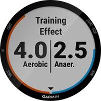 Training Effect Feature