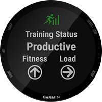 Training Status Feature