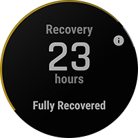 Recovery time advisor