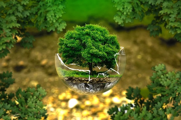 nature and environment