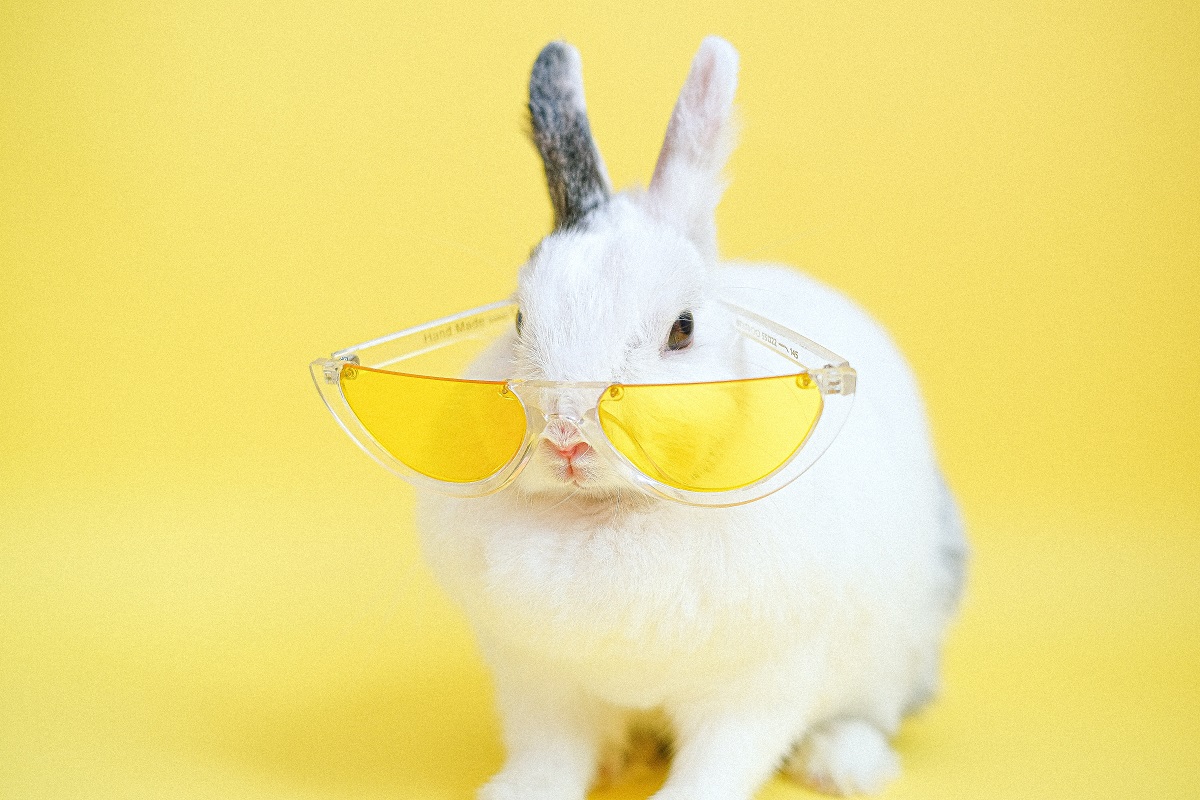 yellow sunglasses for summer